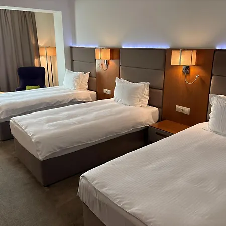 מלון Golden Tulip 4*